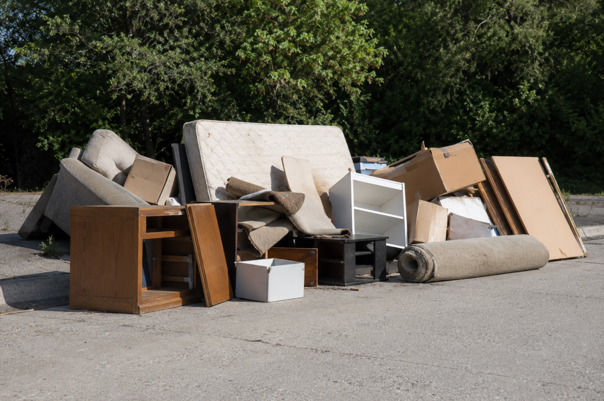 Junk Removal